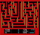 Maze Caves